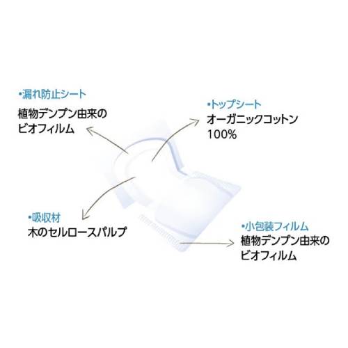 �ʥȥ饱�� �ѥ�ƥ����饤�ʡ� �Ρ��ޥ� ���������ѥ����� 18����