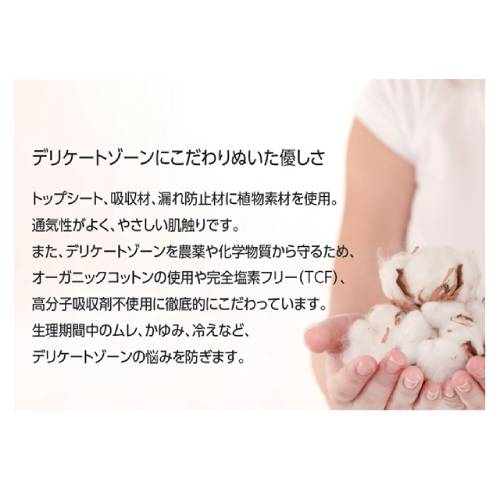 �ʥȥ饱�� �ѥ�ƥ����饤�ʡ� �Ρ��ޥ� ���������ѥ����� 18����