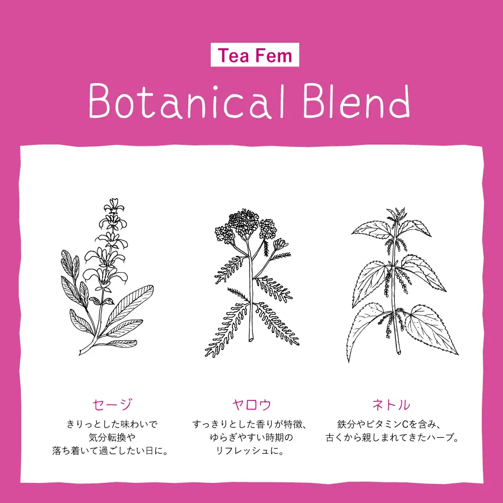 ���ͥ�ȥ� ���åĥ����륰�å� �ƥ��� �ե��� 18��