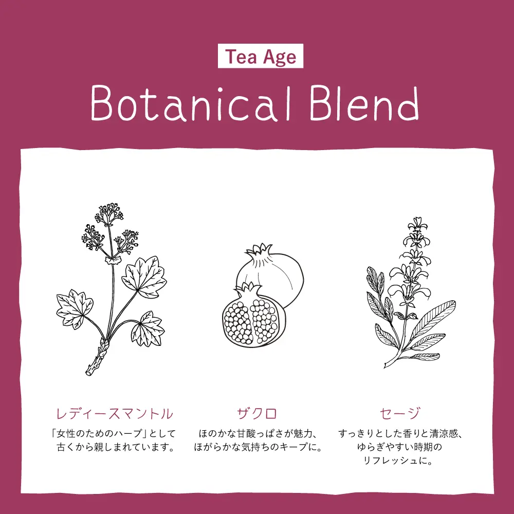 ���ͥ�ȥ� ���åĥ����륰�å� �ƥ��� ������ 18��