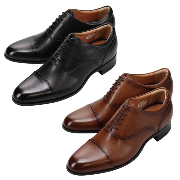 BEE CLASSIC �ӡ����饷�å� CB8501 �������륢�åץ��塼�� ��� �׷� ��nesh�� �ڿ��ʡ�