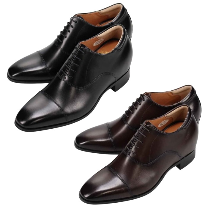 BEE CLASSIC �ӡ����饷�å� CB8701 �������륢�åץ��塼�� ��� �׷� ��nesh�� �ڿ��ʡ�