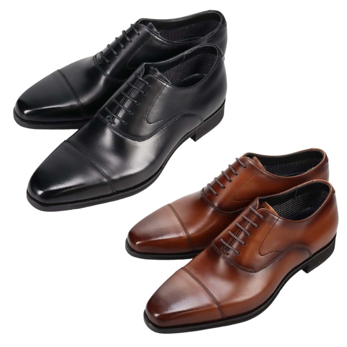 ��ǥ� MODELLO �����ƥå������ �Ⱪ�����ȥ졼�ȥ��åס��ӥ��ͥ����塼����DM2801G ��� �׷� ��nesh�� �ڿ��ʡ�