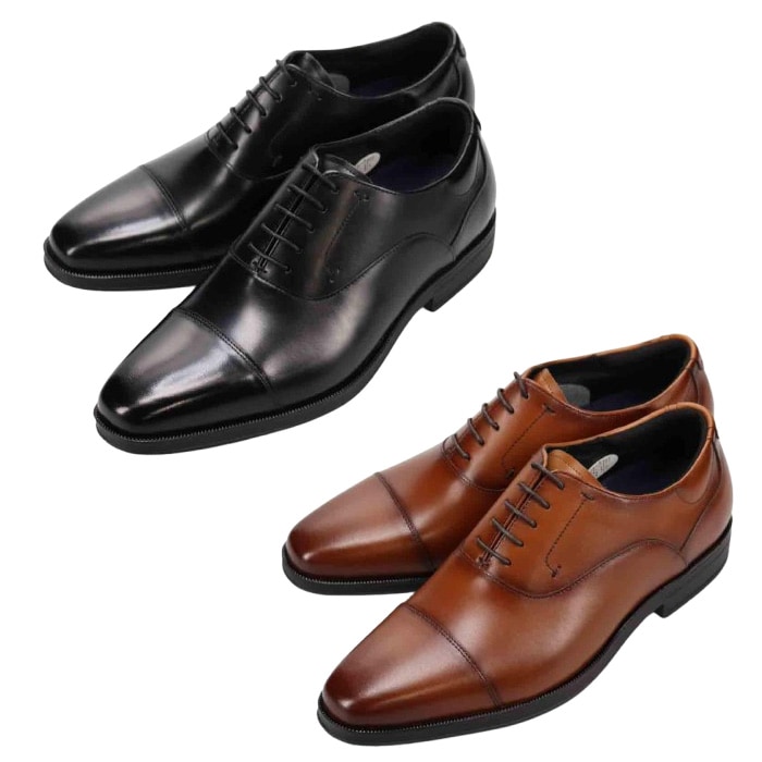 ��ǥ� MODELLO �Ⱪ�����ȥ졼�ȥ��åס��ӥ��ͥ����塼����DM8101 ��� �׷� ��nesh�� �ڿ��ʡ�