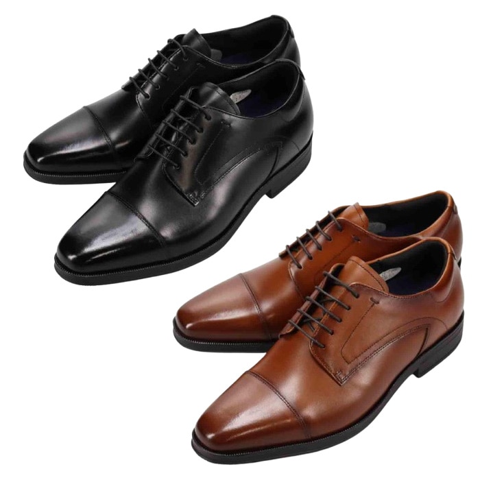 ��ǥ� MODELLO ���������ȥ졼�ȥ��åס��ӥ��ͥ����塼����DM8102 ��� �׷� ��nesh�� �ڿ��ʡ�