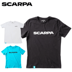 ������� ����T�����