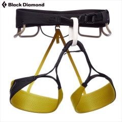 �֥�å���������� ������ Ms ����ե���