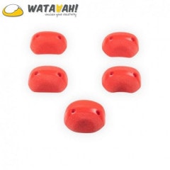 20OFF11770ߢWataaah! Dojo 5 å