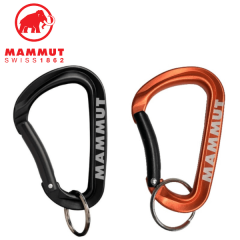 ޥࡼ Mammut Mini Carabiner Workhorse Keylock L