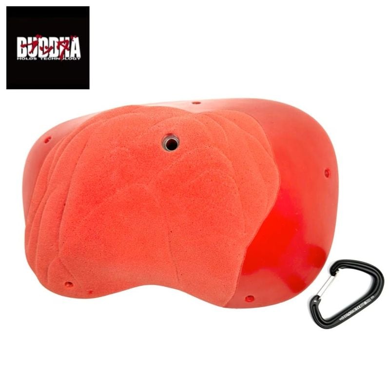 BUDDHA HOLDS TECHNOLOGY �֥å��ۡ���� NEO DORO L-2 ��å�