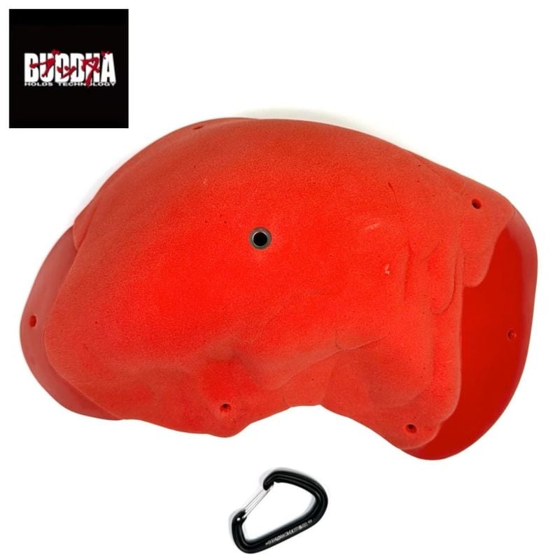 BUDDHA HOLDS TECHNOLOGY �֥å��ۡ���� NEO DORO XL-1 ��å�