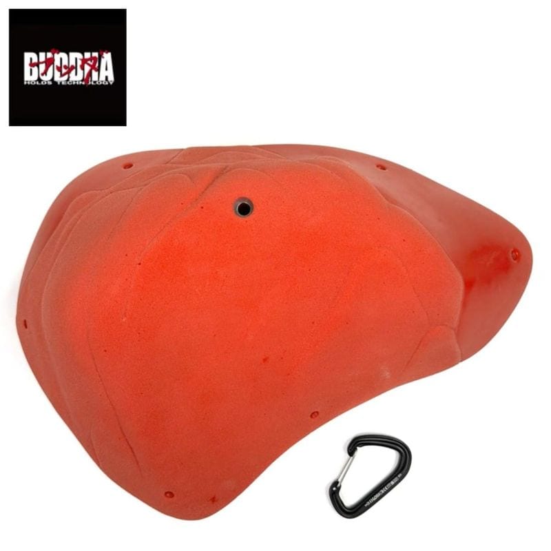 BUDDHA HOLDS TECHNOLOGY �֥å��ۡ���� NEO DORO XL-2 ��å�