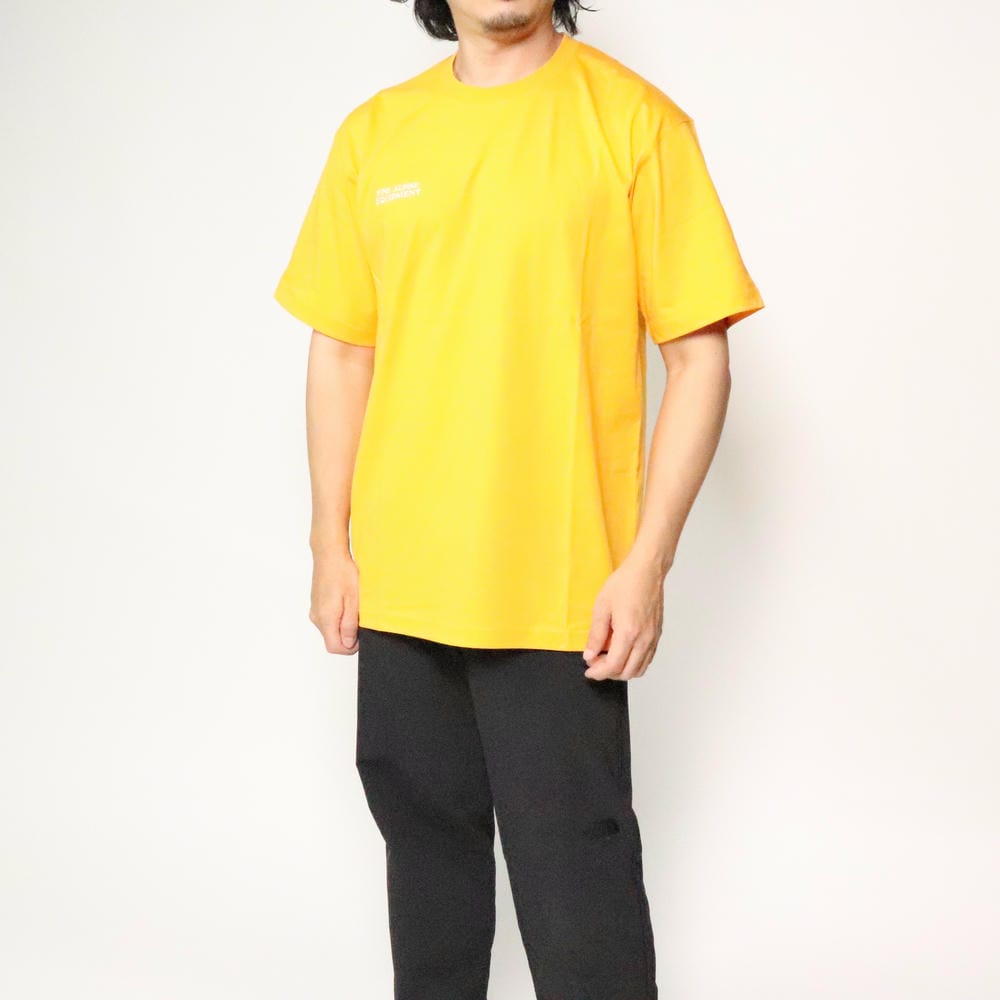 �����Ρ����ե����� NT82639 ���硼�ȥ��꡼�� TNF �ѥå�������ե��å��ƥ��� ��˥��å���
