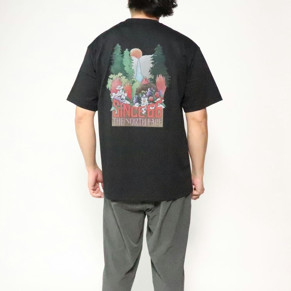 ��20��OFF��5500�ߢ��ۥ����Ρ����ե����� NT82540 ���硼�ȥ��꡼�� �襻�ߥƥե����� �ƥ��� M's