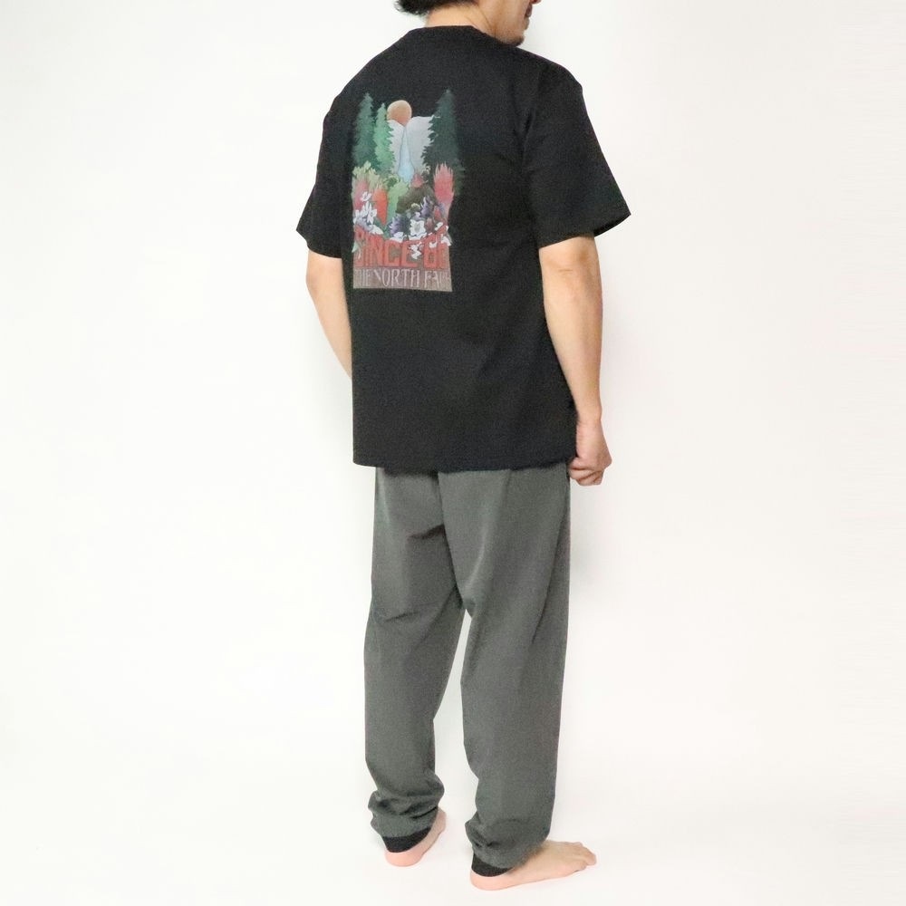 ��20��OFF��5500�ߢ��ۥ����Ρ����ե����� NT82540 ���硼�ȥ��꡼�� �襻�ߥƥե����� �ƥ��� M's