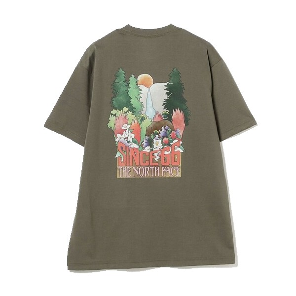 ��20��OFF��5500�ߢ��ۥ����Ρ����ե����� NT82540 ���硼�ȥ��꡼�� �襻�ߥƥե����� �ƥ��� M's