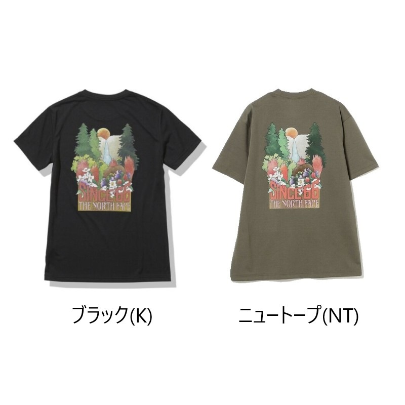 ��20��OFF��5500�ߢ��ۥ����Ρ����ե����� NT82540 ���硼�ȥ��꡼�� �襻�ߥƥե����� �ƥ��� M's