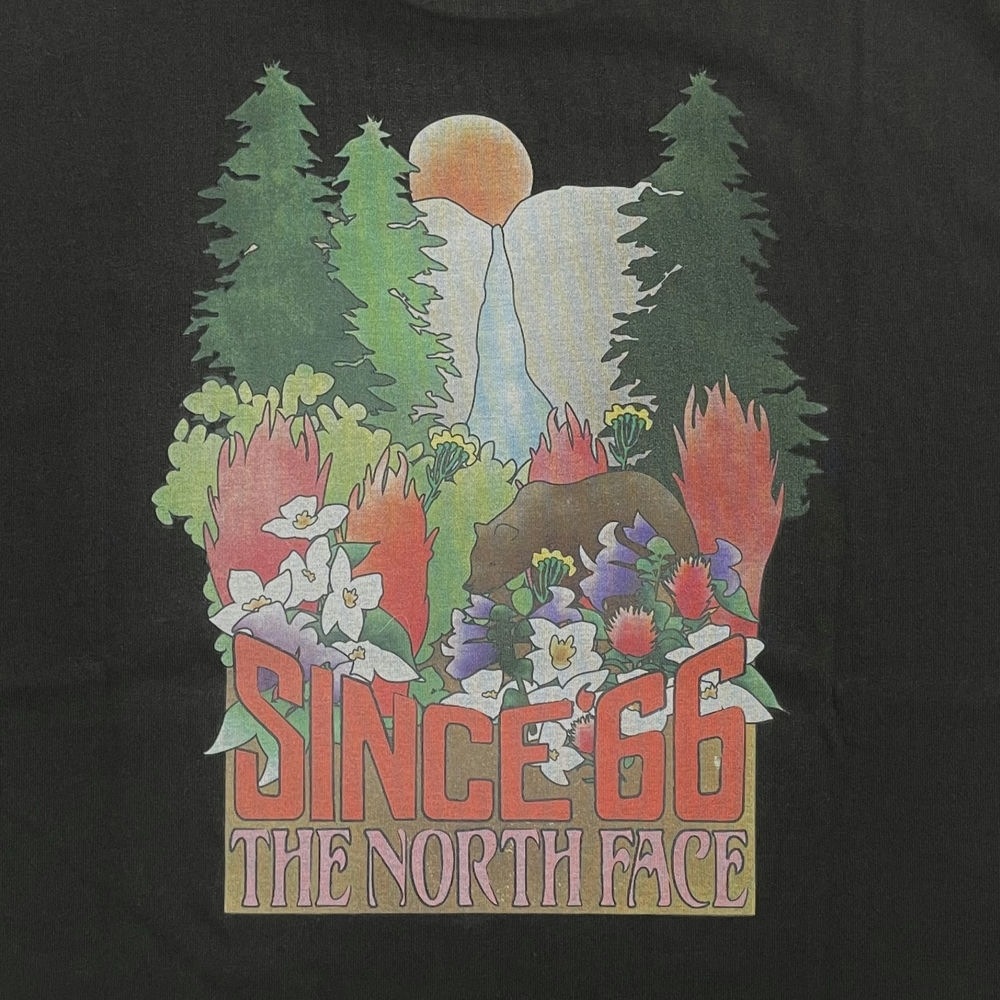 ��20��OFF��5500�ߢ��ۥ����Ρ����ե����� NT82540 ���硼�ȥ��꡼�� �襻�ߥƥե����� �ƥ��� M's