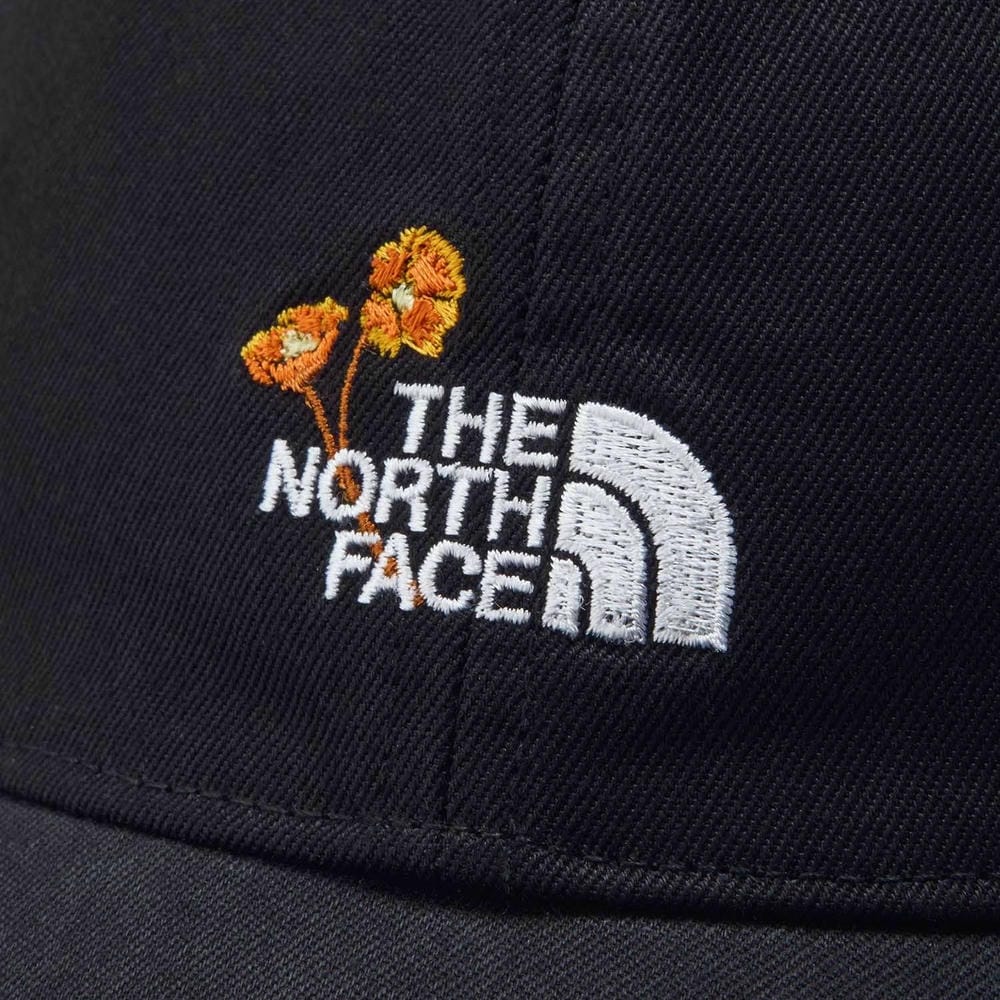 �����Ρ����ե����� NN42672 �ե�����TNF����ץ꡼���饷�å�����å� ��˥��å���