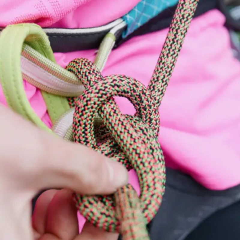 �����ǥ��å� ER71343.060 ��������饤�ȥץ��ƥ��ȥץ��ɥ饤 9.5mm 60m �ͥ���ԥ󥯥ͥ��󥰥꡼���ŹƬ����ݥ����UP����700P�ץ쥼��ȡ�