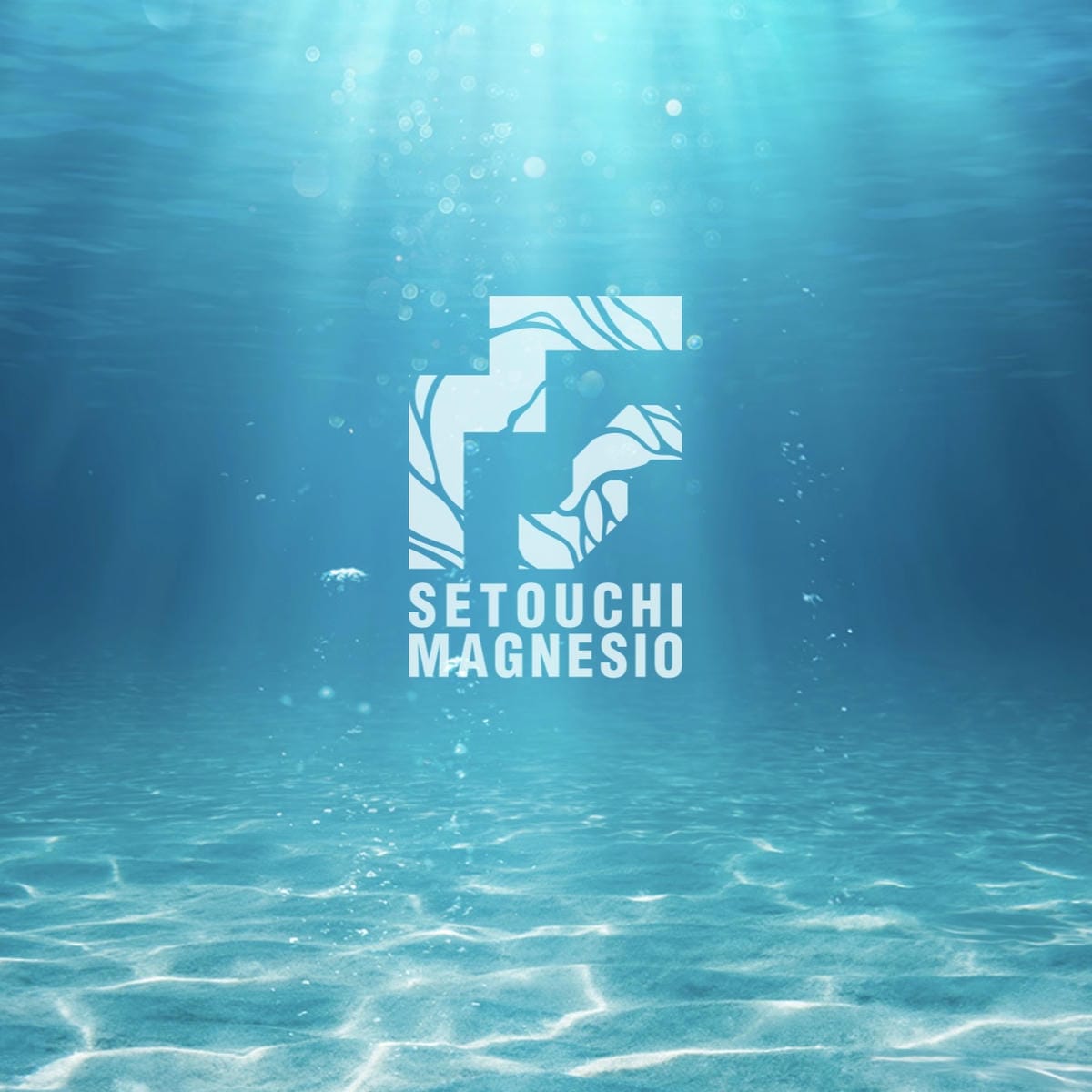 SETOUCHI MAGNESIO ������ޥ��ͥ���