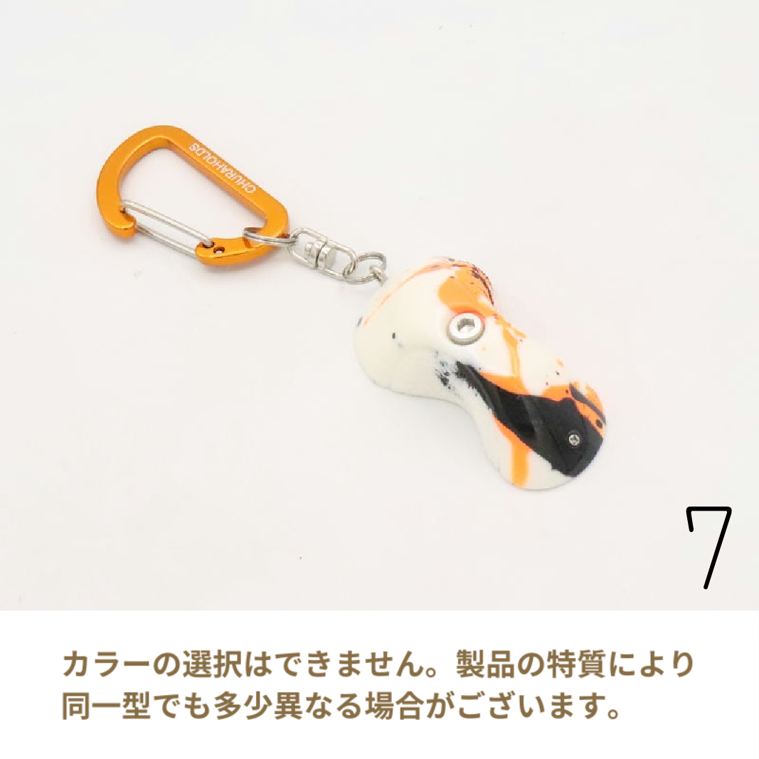 ۡ ۡɥۥǥ奢륹ץå 1  14