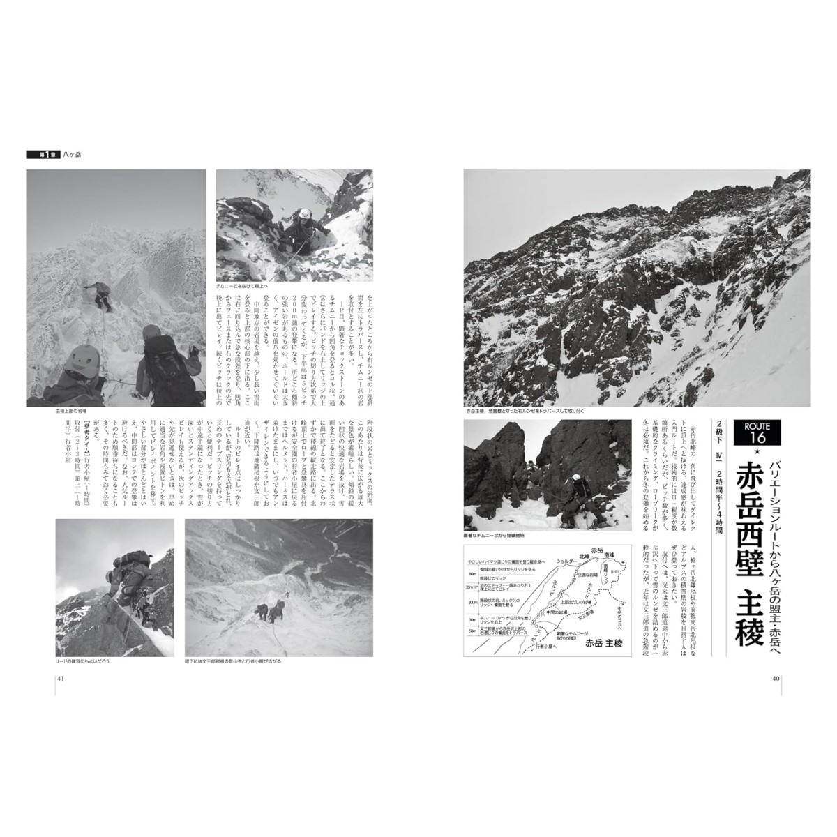 ���ȷ�ë�� ����ѥ��󥯥饤�ߥ� �롼�ȥ����� Ȭ���١����ץ���ë�����