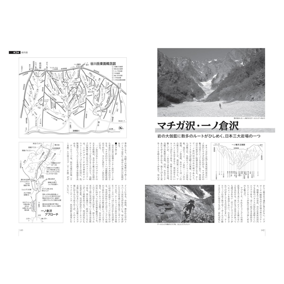 ���ȷ�ë�� ����ѥ��󥯥饤�ߥ� �롼�ȥ����� Ȭ���١����ץ���ë�����