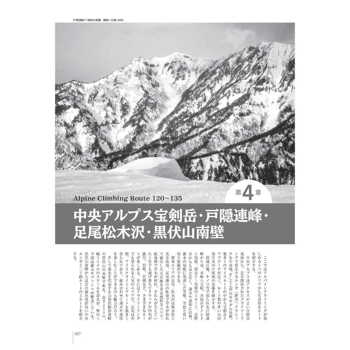 ���ȷ�ë�� ����ѥ��󥯥饤�ߥ� �롼�ȥ����� Ȭ���١����ץ���ë�����