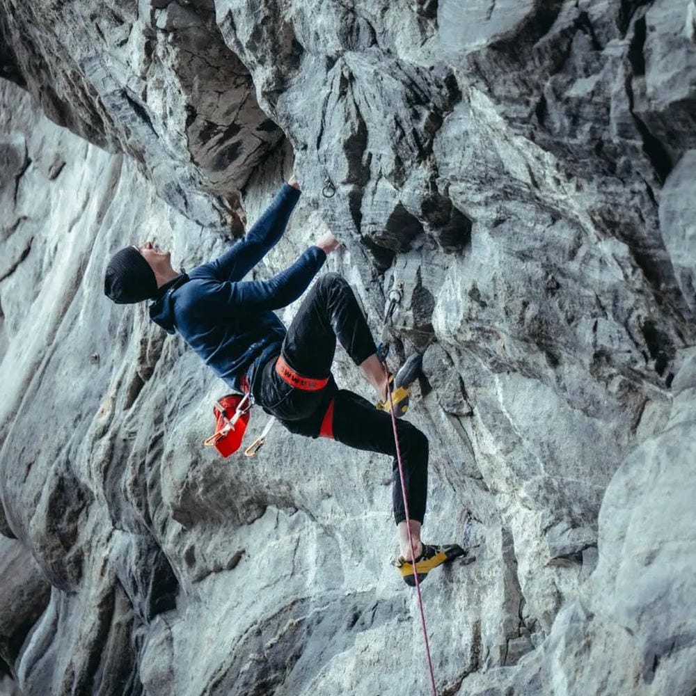 �ޥࡼ�� Adam Ondra 8.7mm We Care Dry Rope 60m assorted��ŹƬ����ͥ������700��ץ쥼��ȡ� 