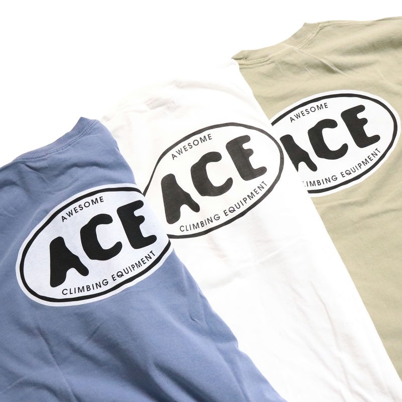 AWESOME "ACE" National PARK L/S TEE �֥롼