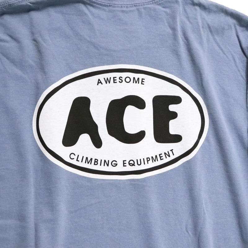 AWESOME "ACE" National PARK L/S TEE �֥롼