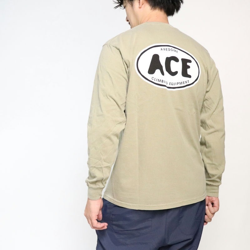AWESOME "ACE" National PARK L/S TEE �֥롼
