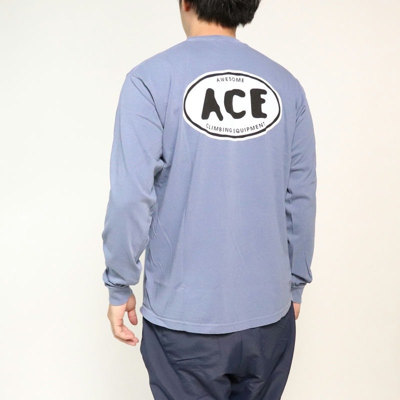 AWESOME "ACE" National PARK L/S TEE �֥롼