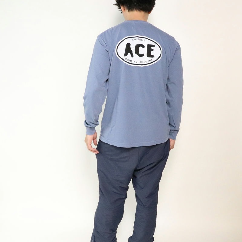 AWESOME "ACE" National PARK L/S TEE �֥롼