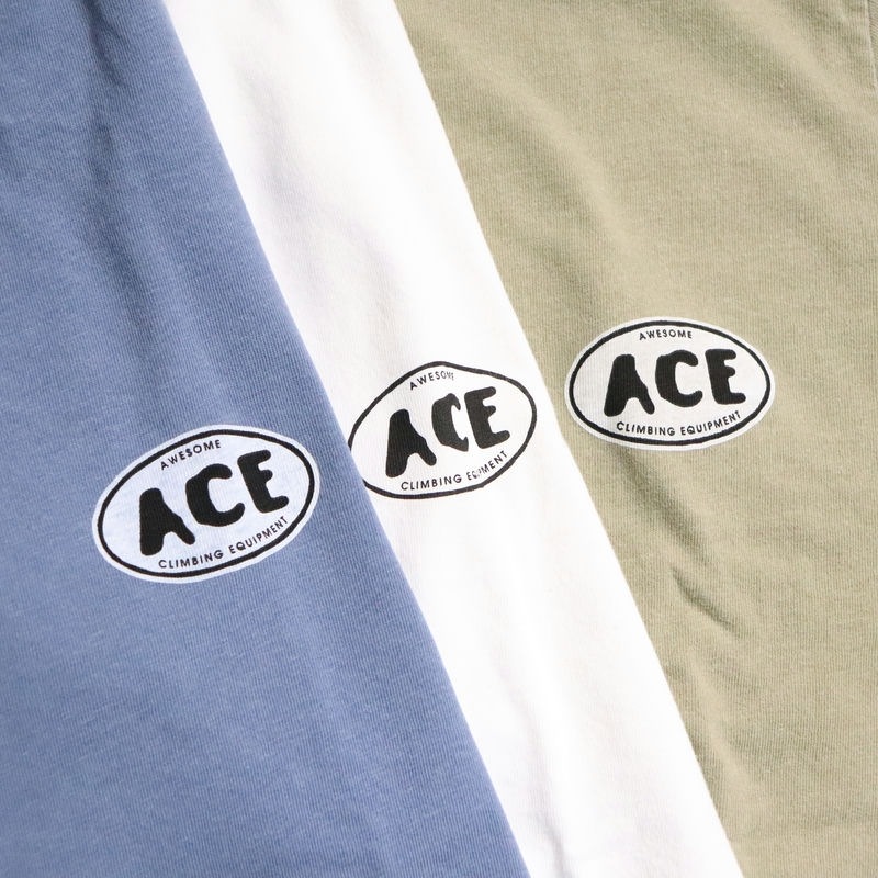 AWESOME "ACE" National PARK L/S TEE �֥롼