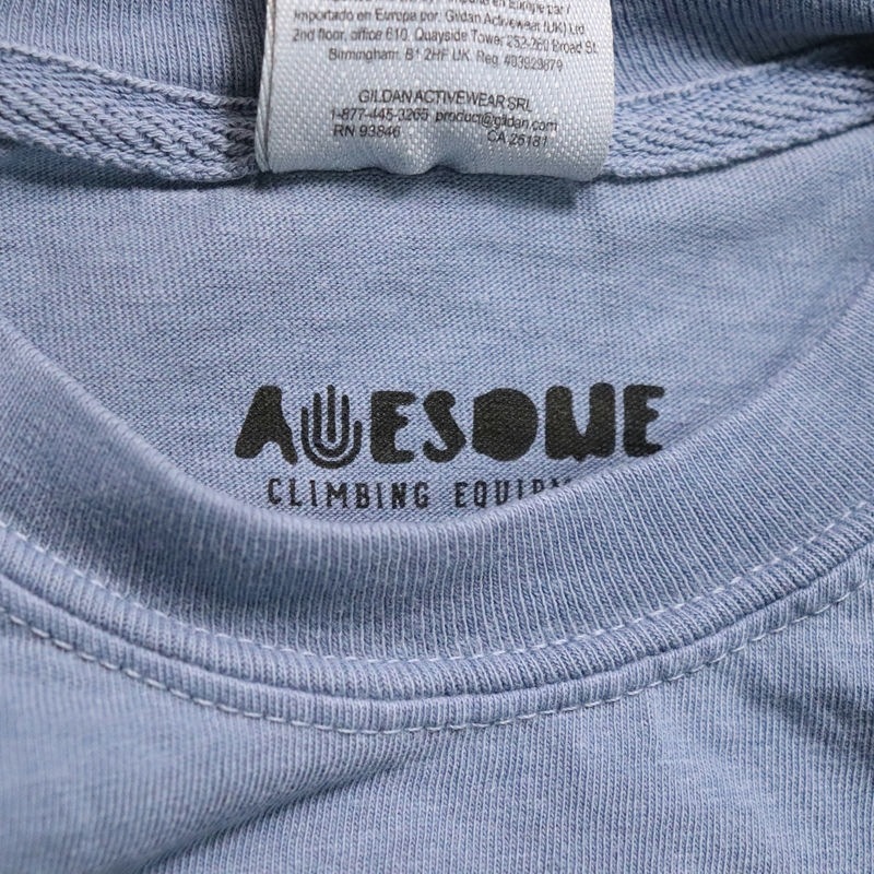 AWESOME "ACE" National PARK L/S TEE �֥롼