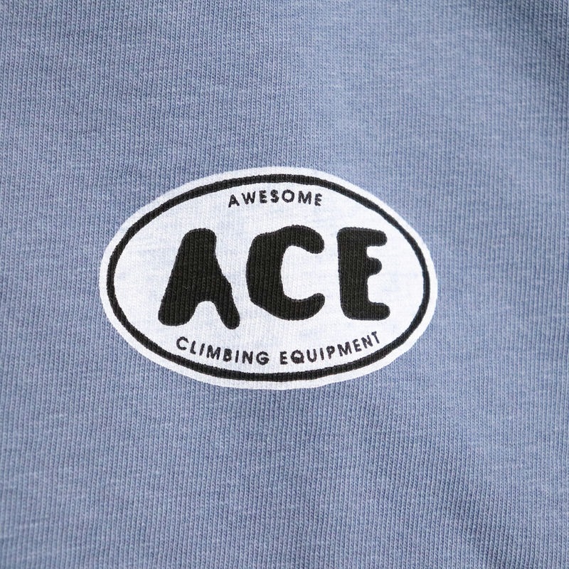AWESOME "ACE" National PARK L/S TEE �֥롼