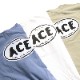 AWESOME "ACE" National PARK L/S TEE �֥롼