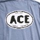 AWESOME "ACE" National PARK L/S TEE �֥롼