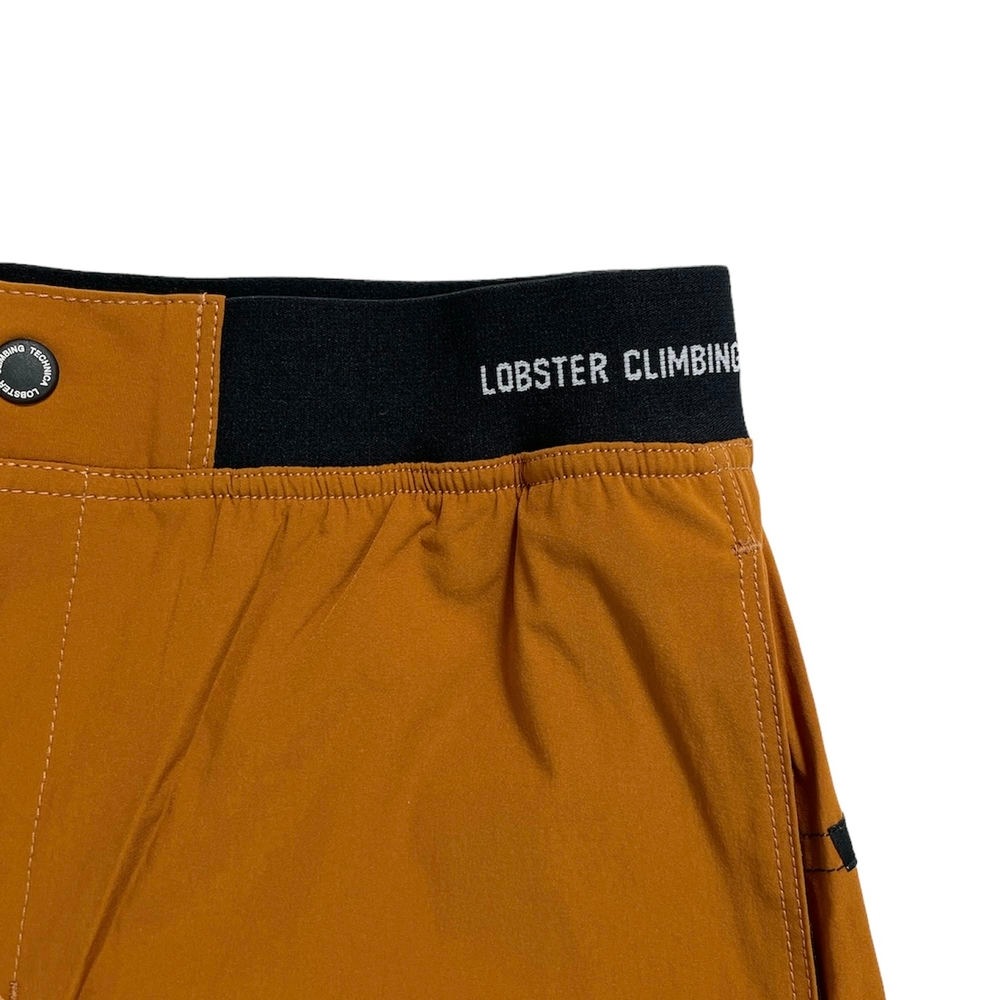 LOBSTER CLIMBING TECHNICA SURE SHOT SHORTS 3.0 LB-2307-14BC BaseCamp顼
