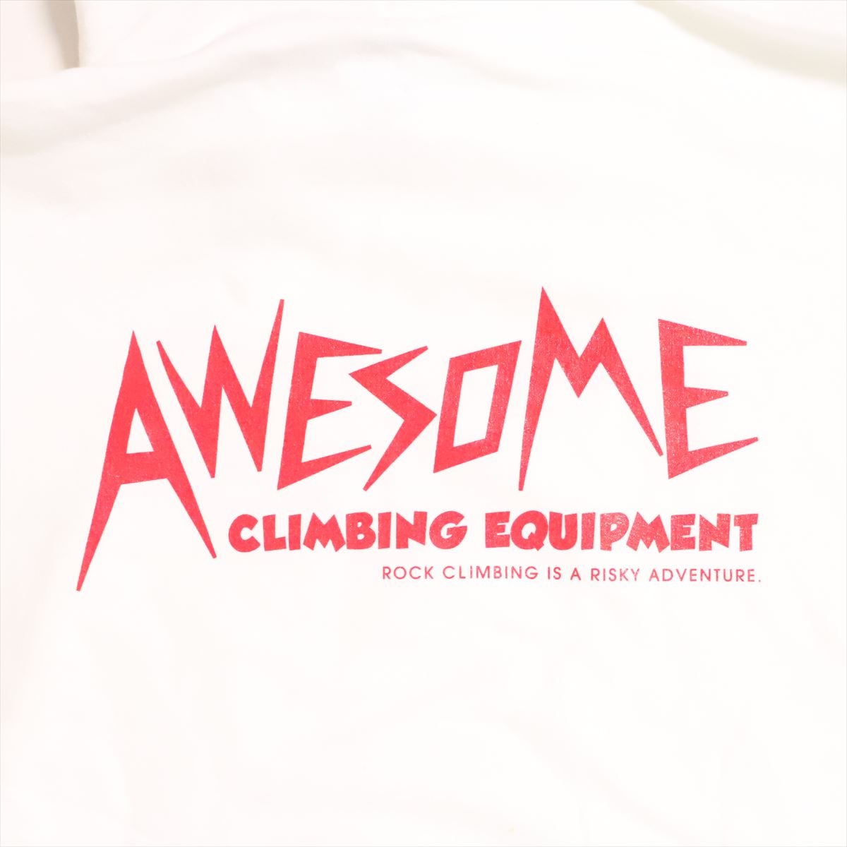 AWESOME MASTERS HOODIE WHITE