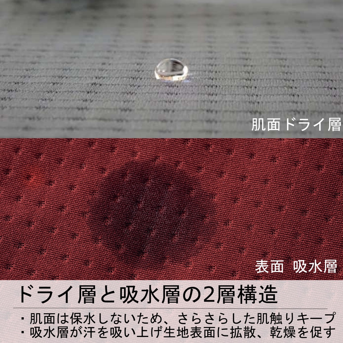 �����Ρ����ե����� NT12523 �������ڥǥ������ɥ饤�ɥåȥ��롼�ʥ�˥��å�����