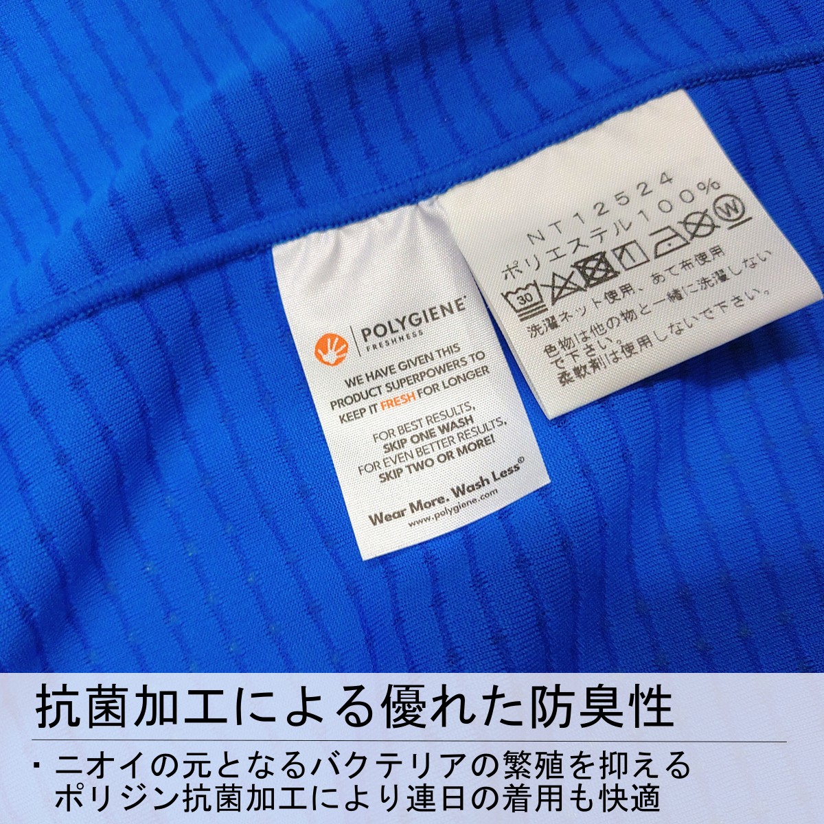 �����Ρ����ե����� NT12523 �������ڥǥ������ɥ饤�ɥåȥ��롼�ʥ�˥��å�����