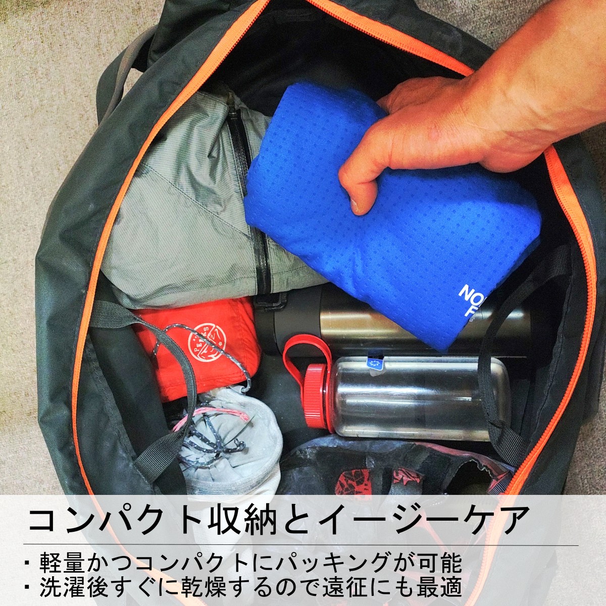 �����Ρ����ե����� NT12523 �������ڥǥ������ɥ饤�ɥåȥ��롼�ʥ�˥��å�����