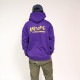 AWESOME MASTERS HOODIE GOLD
