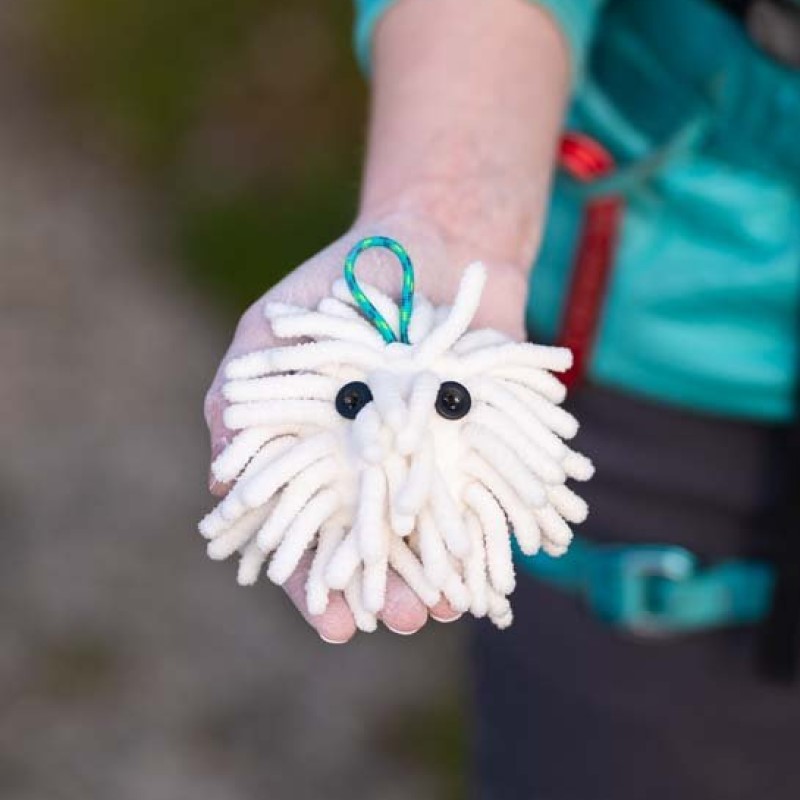 Midnight Lightning CHALKTOPUS