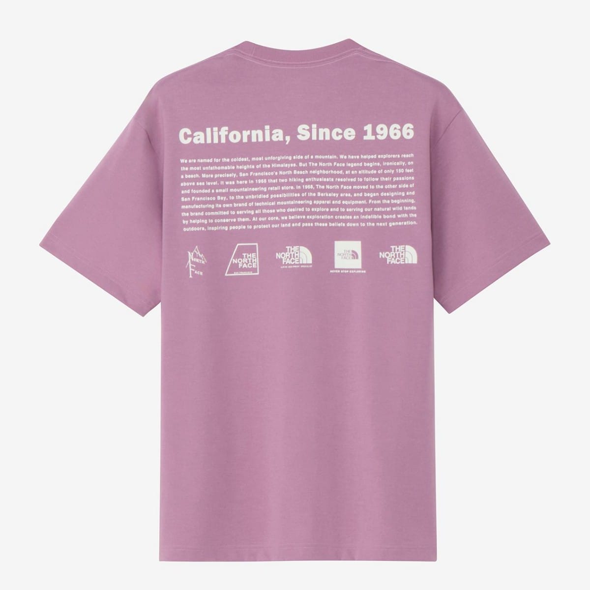 �����Ρ����ե����� NT32407 ���硼�ȥ��꡼�֥ҥ��ȥꥫ������ƥ��� ��˥��å���