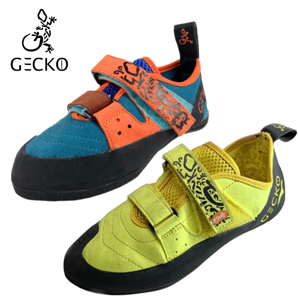 GECKO ���å����塼�� BEANS �ӡ���
