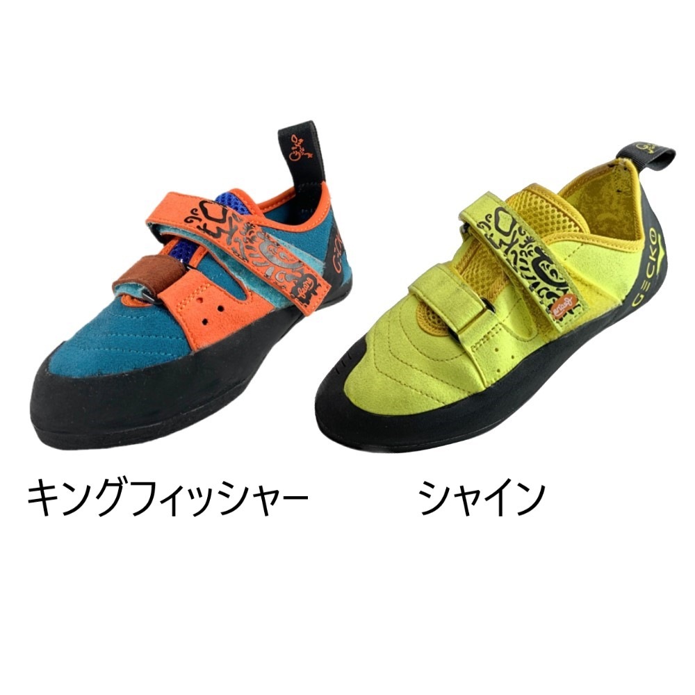 GECKO ���å����塼�� BEANS �ӡ���